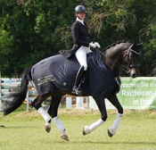 Lune Karolin Müller Goldenes Reitabzeichen