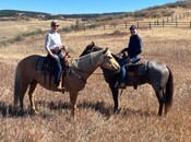 Doris und Hubertus Schmidt im Westernsattel	1:	Doris and Hubertus Schmidt riding ranch horses